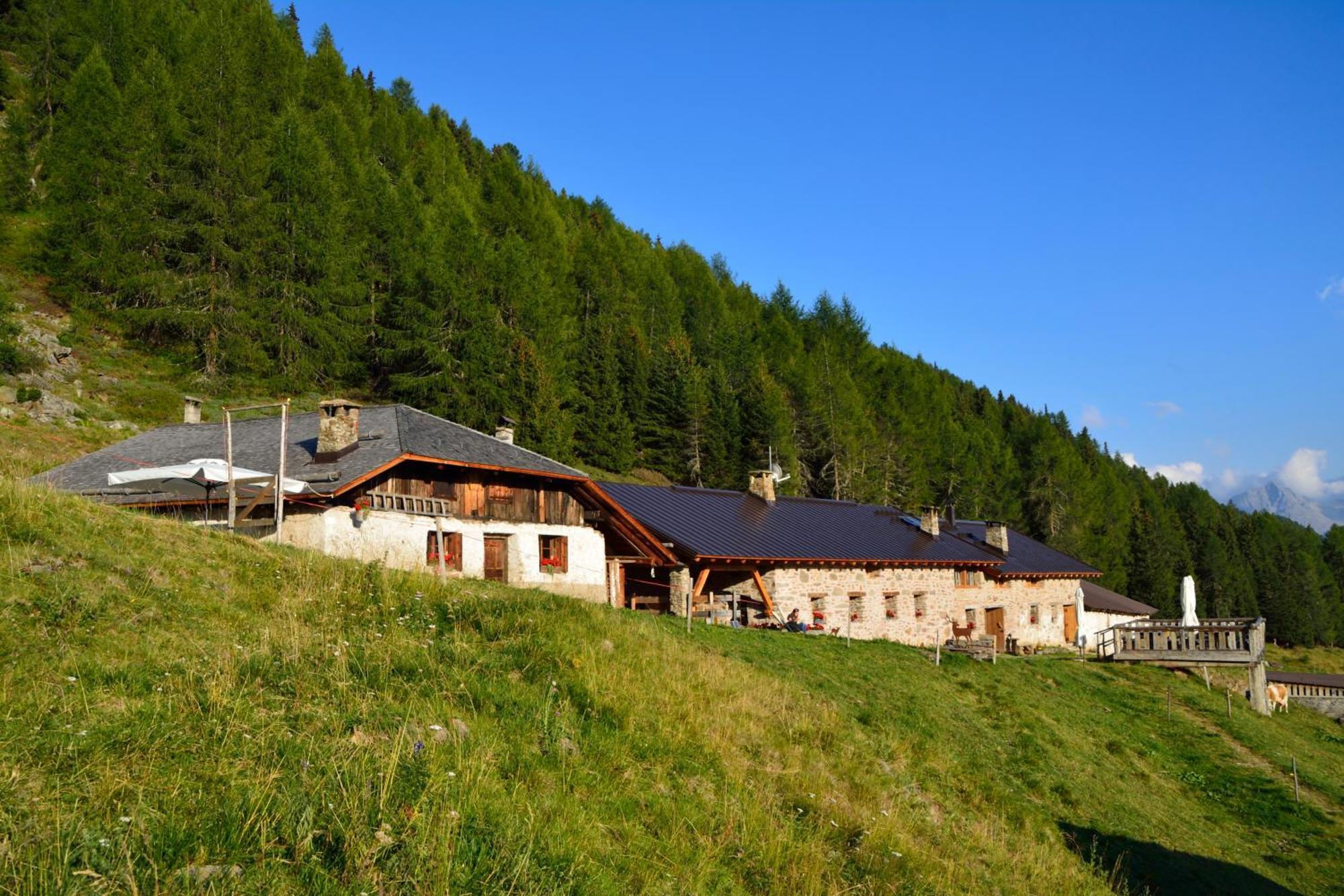 Вилла Nestalp Malga Campo Пейо Экстерьер фото